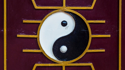 Dualiteit en eenheid